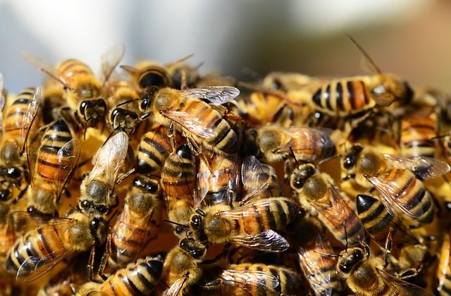 Naturnahe Firmengelände